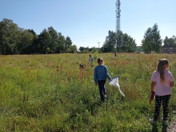 Zajęcia edukacyjne w ramach Wielkiego Dnia Pszczół - Plichtów 2022 r., 